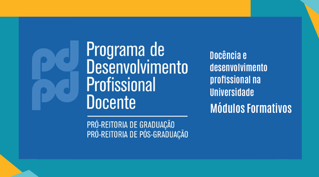 Programa de desenvolvimento profissional docente
